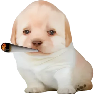 😶‍🌫️-doggies by @normtips, Telegram Sticker