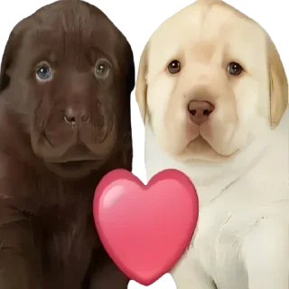 🩷-doggies by @normtips, Telegram Sticker