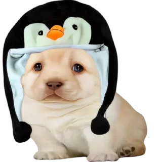 😃-doggies by @normtips, Telegram Sticker