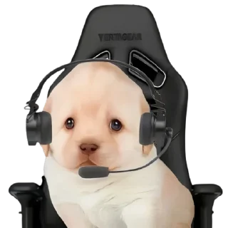 😐-doggies by @normtips, Telegram Sticker