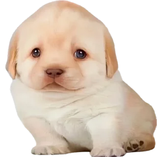 ☺️-doggies by @normtips, Telegram Sticker