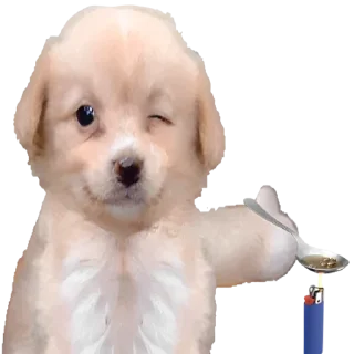😓-doggies by @normtips, Telegram Sticker