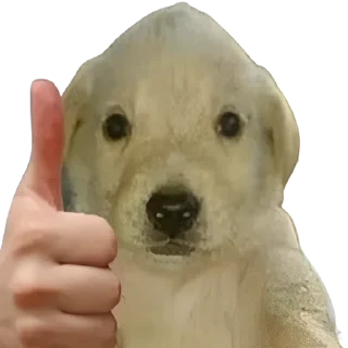 👍-doggies by @normtips, Telegram Sticker