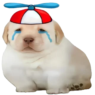😰-doggies by @normtips, Telegram Sticker