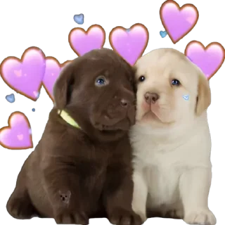 🥰-doggies by @normtips, Telegram Sticker