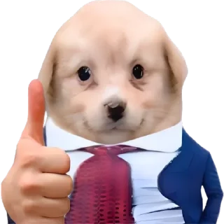 😎-doggies by @normtips, Telegram Sticker