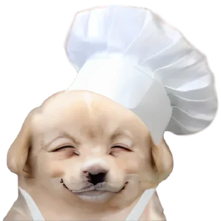 👅-doggies by @normtips, Telegram Sticker