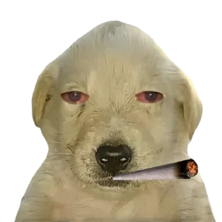 😶‍🌫️-doggies by @normtips, Telegram Sticker