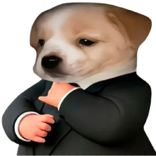 doggies by @normtips