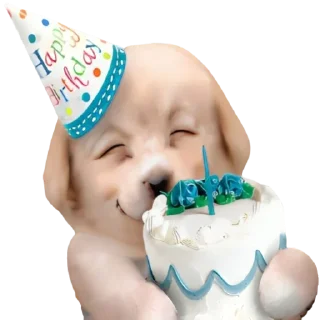🥳-doggies by @normtips, Telegram Sticker