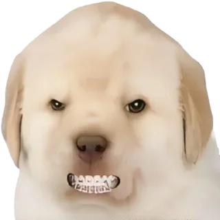 😡-doggies by @normtips, Telegram Sticker