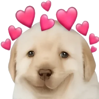 🥰-doggies by @normtips, Telegram Sticker