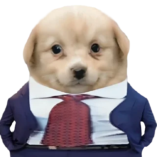😎-doggies by @normtips, Telegram Sticker