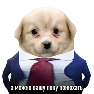 😎-doggies by @normtips, Telegram Sticker