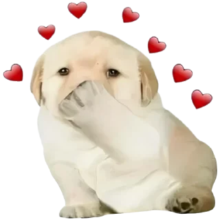 ❤️-doggies by @normtips, Telegram Sticker