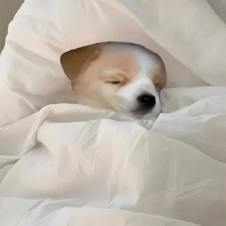 😴-doggies by @normtips, Telegram Sticker