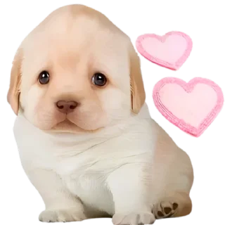 🥰-doggies by @normtips, Telegram Sticker