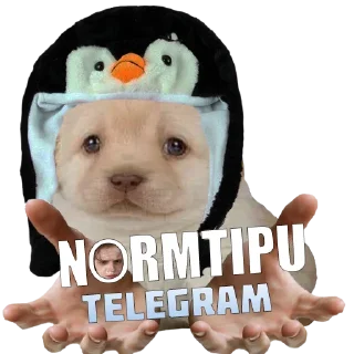 ☺️-doggies by @normtips, Telegram Sticker