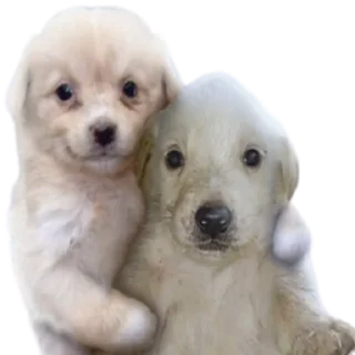 🥰-doggies by @normtips, Telegram Sticker