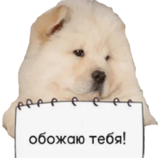 🥰-doggies by @normtips, Telegram Sticker