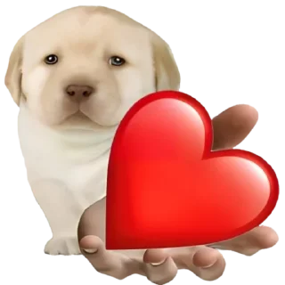 ❤️-doggies by @normtips, Telegram Sticker