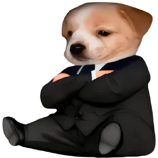 🤑-doggies by @normtips, Telegram Sticker