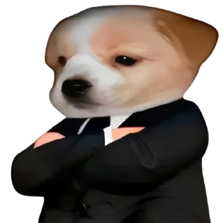 😎-doggies by @normtips, Telegram Sticker