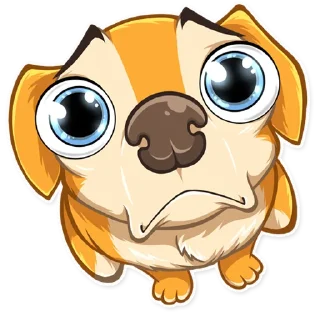 🥺-Chihuahua Chica, Telegram Sticker
