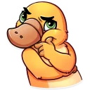 🤔-Cooper the Platypus, Telegram Sticker