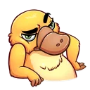 ❓-Cooper the Platypus, Telegram Sticker