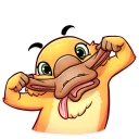 😜-Cooper the Platypus, Telegram Sticker