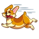 🏃-Corgeous, Telegram Sticker