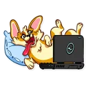 💻-Corgeous, Telegram Sticker