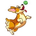🎾-Corgeous, Telegram Sticker