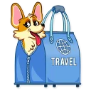 ✈-Corgeous, Telegram Sticker