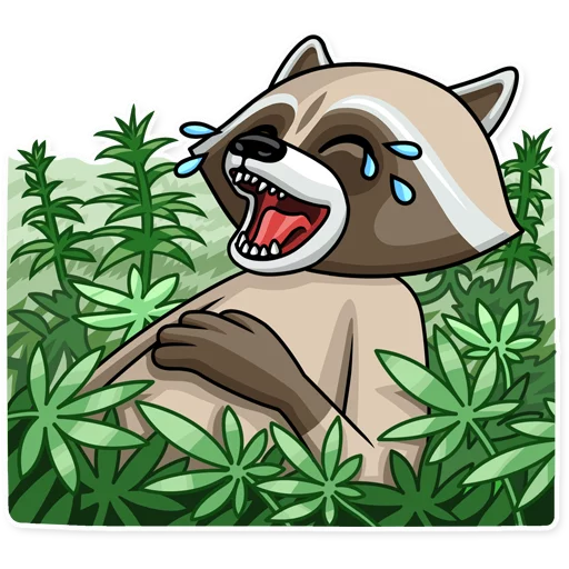 Criminal Raccoon, telegram sticker