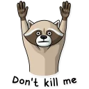 😦-Criminal Raccoon, Telegram Sticker