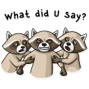 👊-Criminal Raccoon, Telegram Sticker