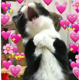 ❤️-CUlUnU_Love, Telegram Sticker