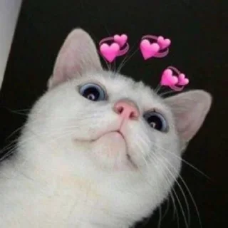 ❤️-CUlUnU_Love, Telegram Sticker