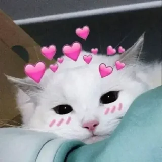 ❤️-CUlUnU_Love, Telegram Sticker