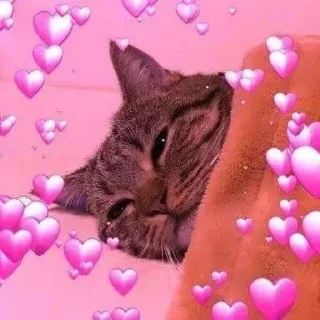 ❤️-CUlUnU_Love, Telegram Sticker