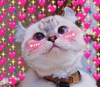 ❤️-CUlUnU_Love, Telegram Sticker