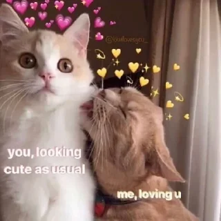 ❤️-CUlUnU_Love, Telegram Sticker