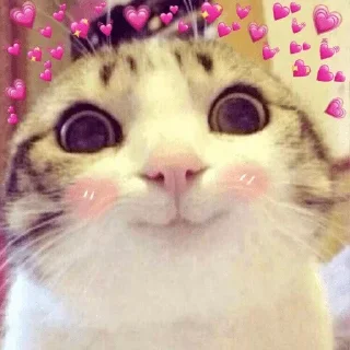 ❤️-CUlUnU_Love, Telegram Sticker