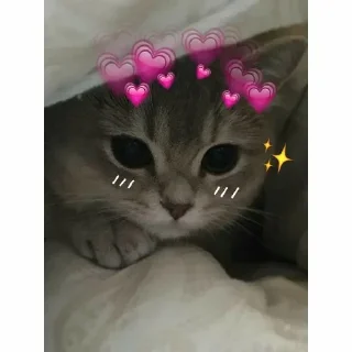 ❤️-CUlUnU_Love, Telegram Sticker