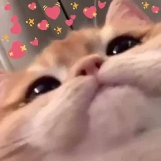 ❤️-CUlUnU_Love, Telegram Sticker