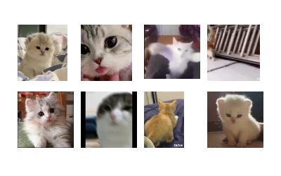 Cute kitties.. @Eliza_018 :: @fStikBot