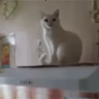 👋-Cute kitties.. @Eliza_018 :: @fStikBot, Telegram Sticker
