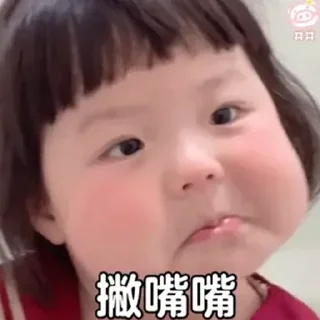 🫡-万能斗图制作 @BS8831, Telegram Sticker